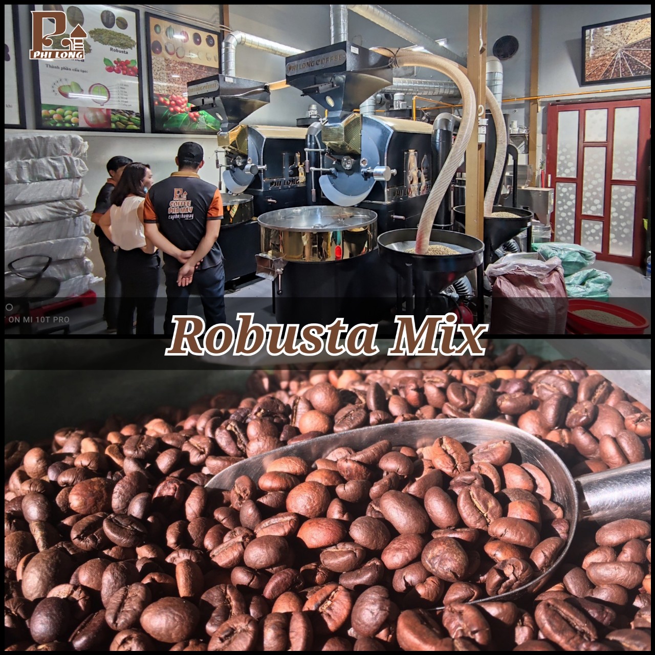 Cà phê hạt Robusta - Mix
